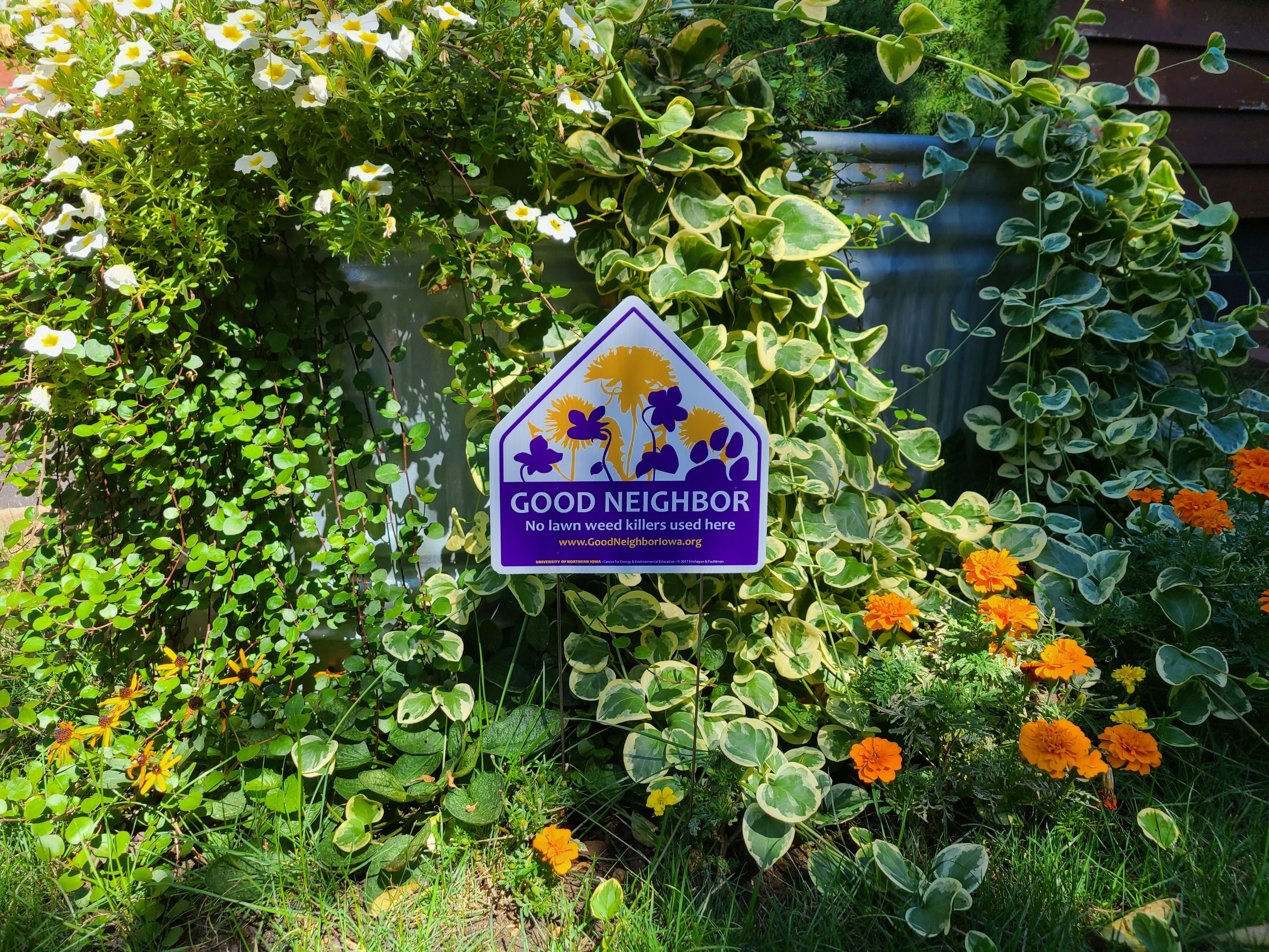 Good Neighbor Purple/Gold Yard Sign