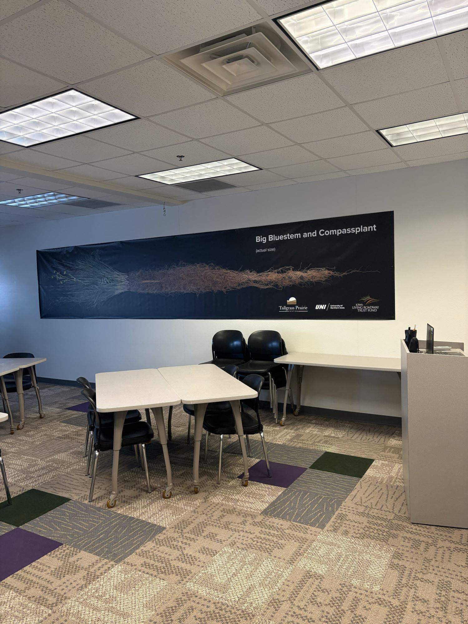 Big Bluestem and Compass Plant Root Banner